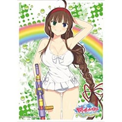 ヨドバシ.com - エンスカイ ensky キャラクタースリーブ 閃乱カグラ