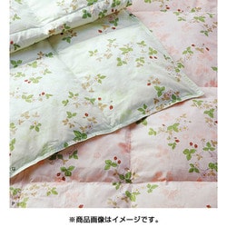 ヨドバシ.com - 東京西川 ウェッジウッド WEDGWOOD AA07152022 羽毛肌