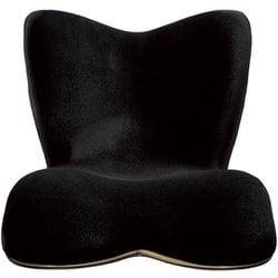 ヨドバシ.com - Style スタイル Style PREMIUM DX（スタイル