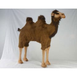 ハンサ ラクダ 【公式通販】