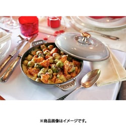 ヨドバシ.com - ストウブ STAUB ラウンド ホットプレート 20cm グレー