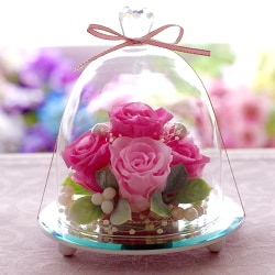 ヨドバシ.com - プリザーブドフラワーIPFA プリザーブドフラワーギフト