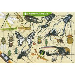 ヨドバシ.com - こんちゅう だいしゅうごう 50ピース(頭のいい子を