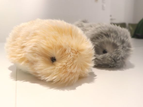 カシオが作ったモフモフAIロボット 生き物らしい「可愛さ」をどう設計