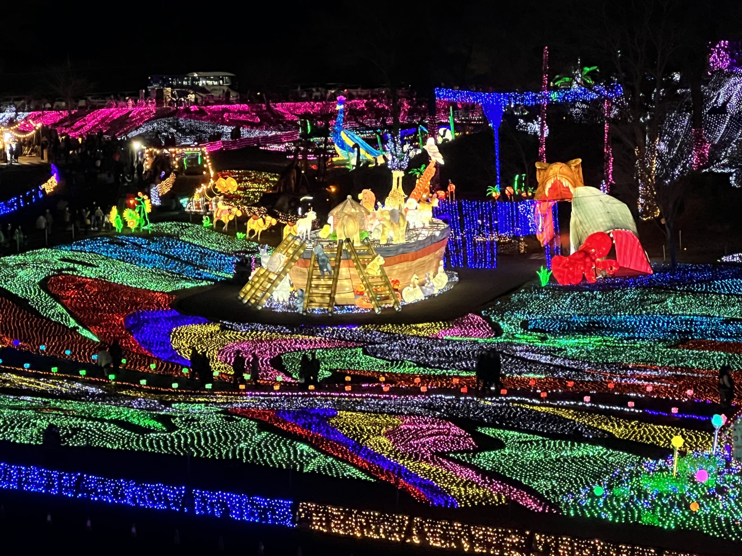 東京ドイツ村のイルミは春まで楽しめる！極彩色の「光の地上絵」が凄