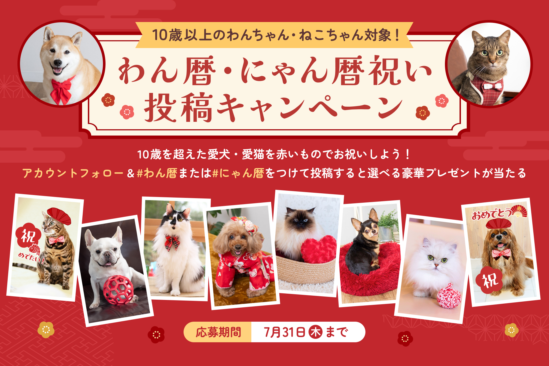 豪華賞品が当たる、新習慣「わん暦・にゃん暦 祝い」投稿 キャンペーン