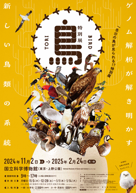 特別展「鳥 ～ゲノム解析が解き明かす新しい鳥類の系統～」 | チケット