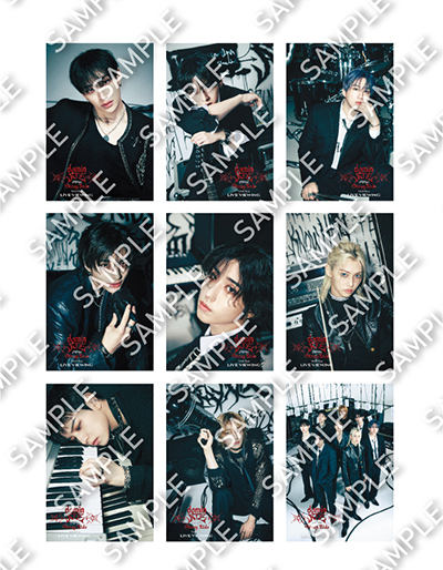 Stray Kids World Tour ＜dominATE JAPAN＞ Live Viewing 12/7(土)公演