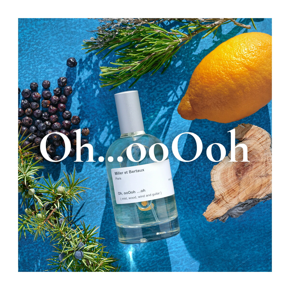 楽天市場】Miller et Bertaux 【オードパルファン香水100ml】 ミント