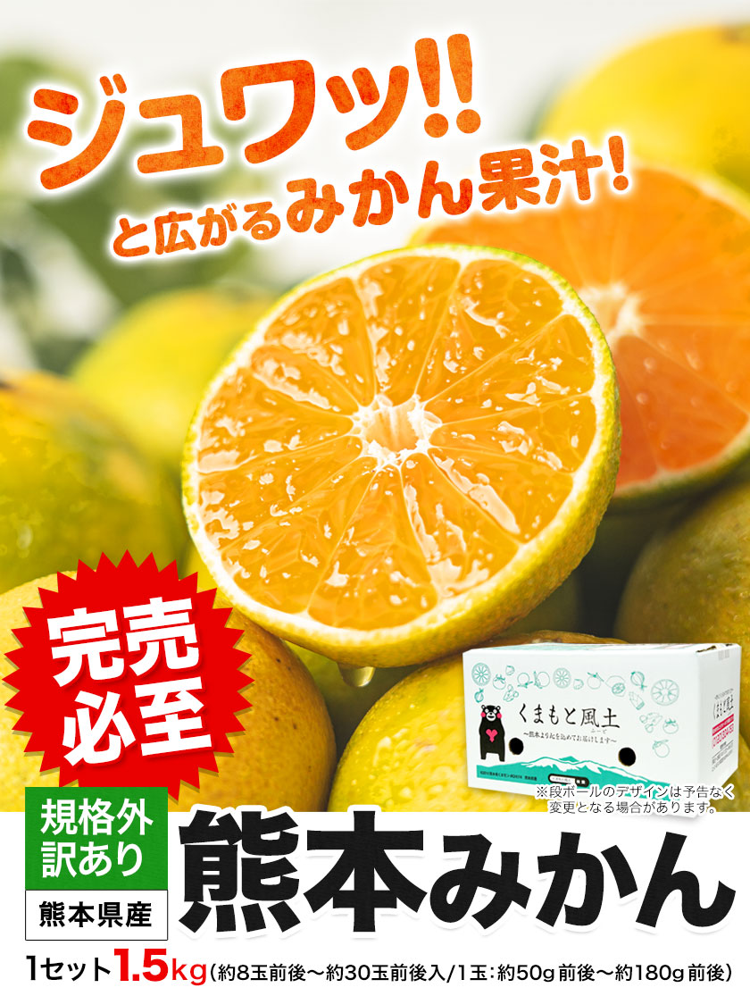訳あり熊本みかん 1.5㎏ 送料無料 熊本 ミカン 果物 柑橘《7-14営業日