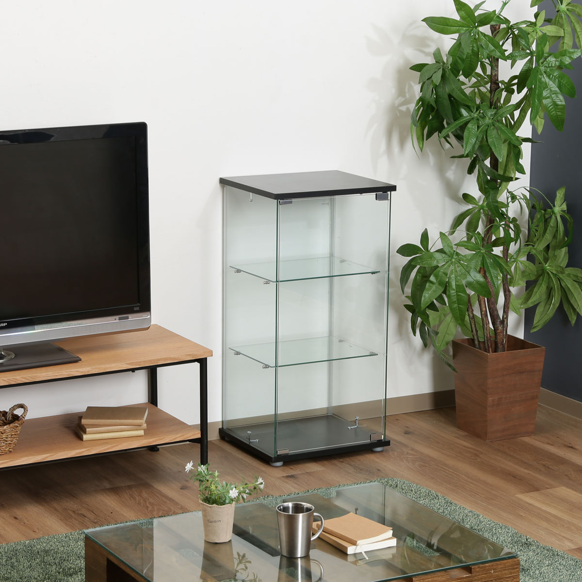 楽天市場】コレクションケース 3段 幅42.5cm 4面ガラス ショーケース