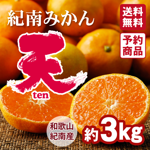 送料無料】旨味極撰 紀南みかん「天」 3kg 紀州梅干し・みかんのJA
