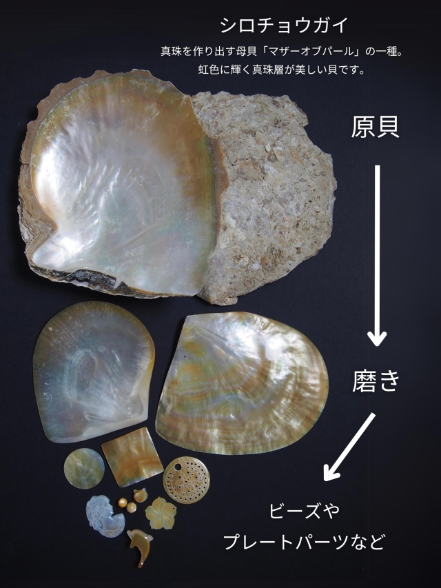 シェルパーツ-ハートサークル 大(シロチョウガイ)【約20×21mm/1個