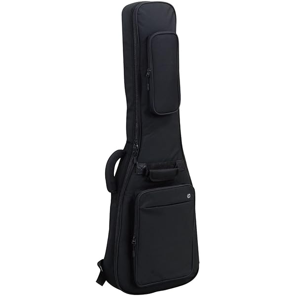 Amazon.co.jp: 【国内正規品】 PLAYTECH プレイテック エレキギター用