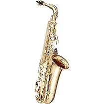 81CWVQdKyPL._AC_UL210_SR210,