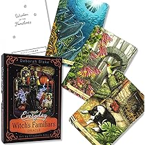 Amazon.co.jp: 【日本語解説書付き】マヤ アストロ カード Maya Astro