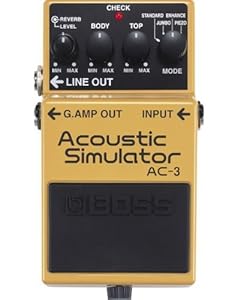 AMT Electronics P2 - Peavey「5150」＆「6505」のサウンドを再現した