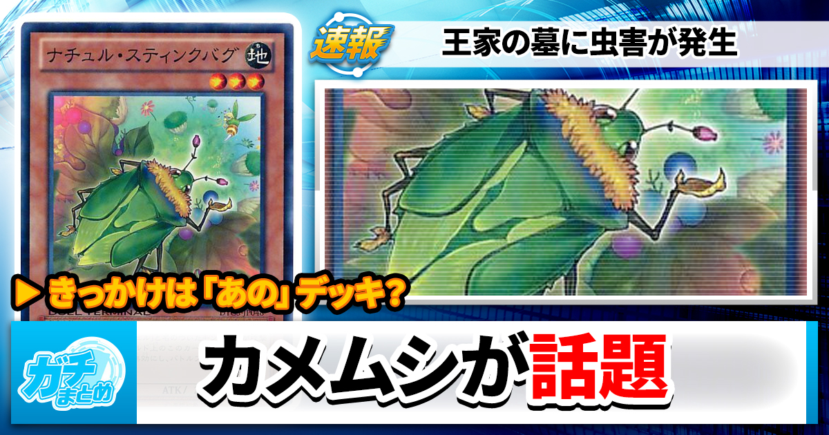 カメムシ速報】ナチュル・スティンクバグ、話題に | 遊戯王 – 最新情報