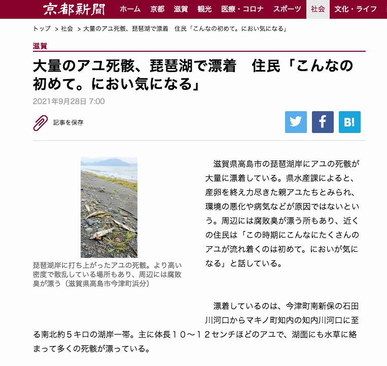 過去を育てることから未来をつくる。コモンズとしての地域の記憶を回復