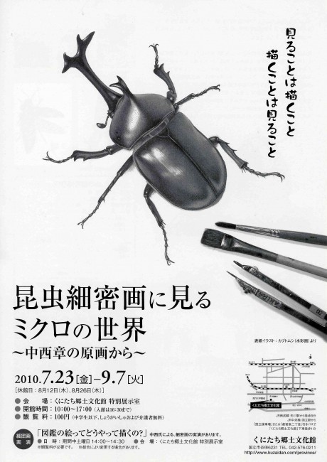国立で昆虫細密画の原画展－サイエンスイラストレーター・中西章さん