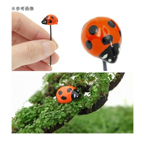 水作 ほとりえ ミニチュアピック てんとうむし 水槽 オブジェ | チャーム