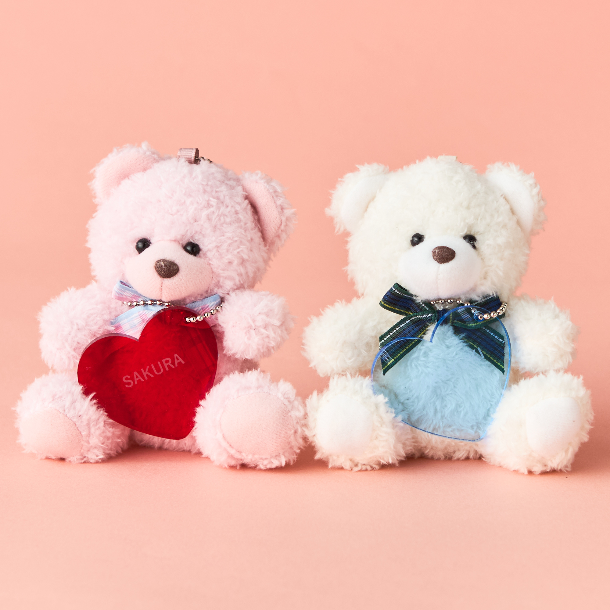 名入れ無料・BOX入り】チョコレート&ハートチャーム付ペアテディベア