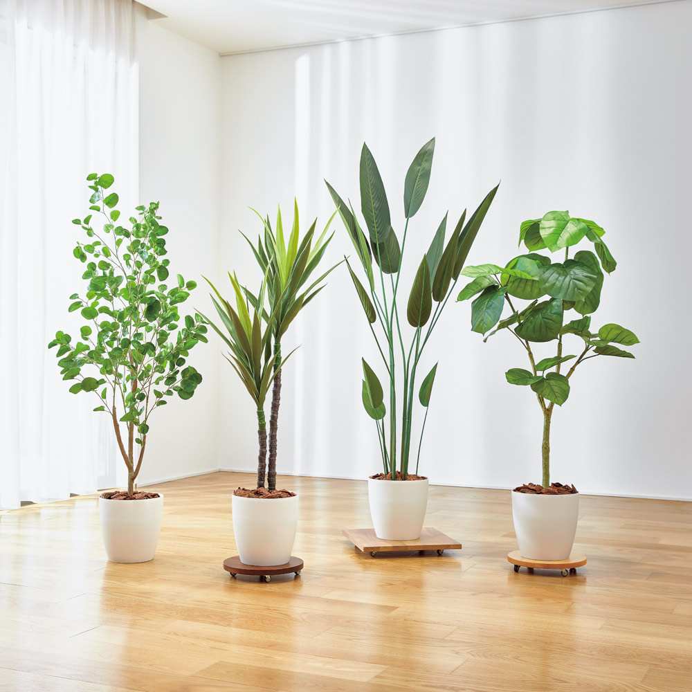 無垢材のキャスター付き プランターベース ホワイトオーク 径29cm 通販