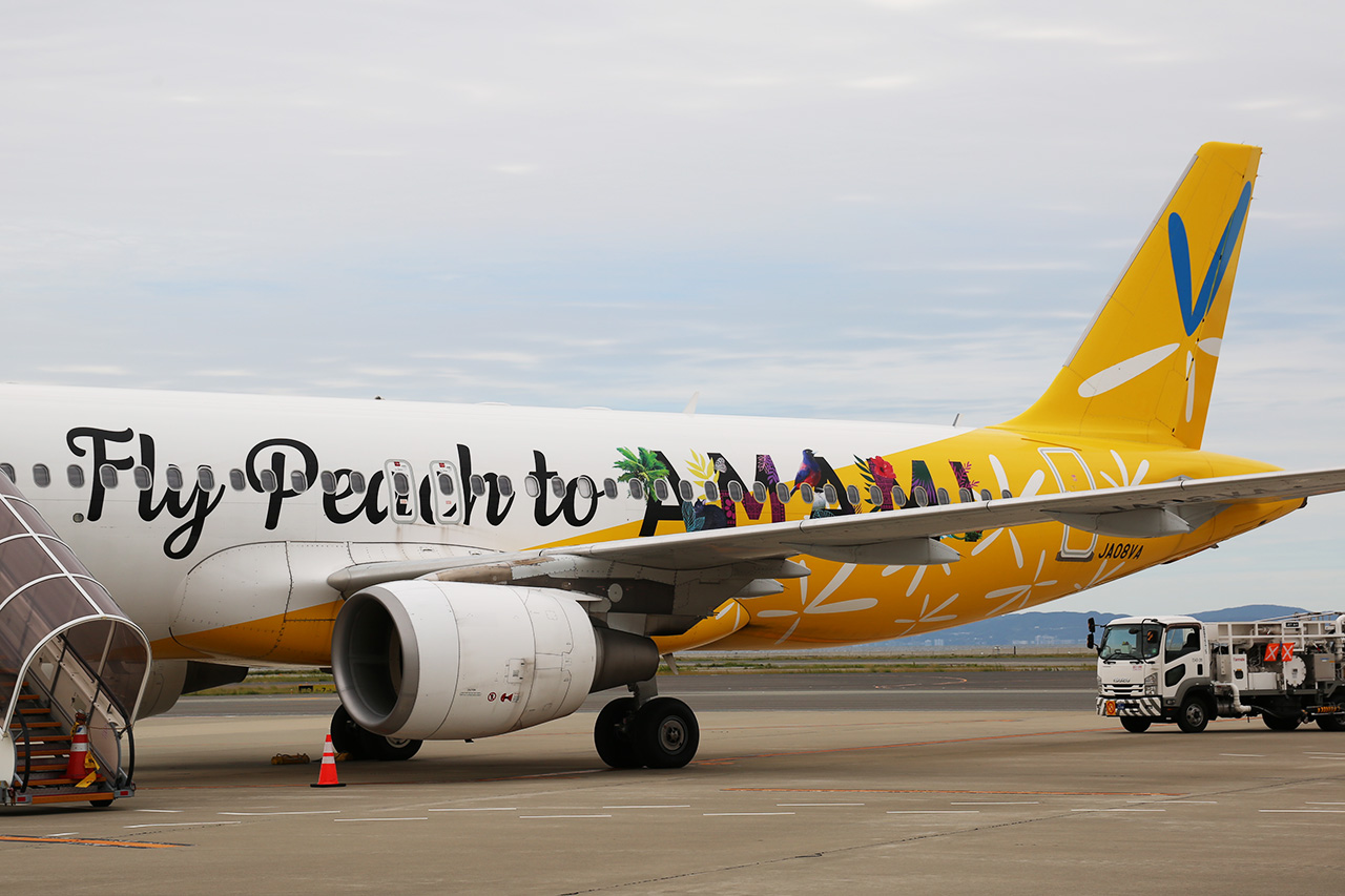 バニラエアに2度目のお別れをした日 ピーチ「Fly Peach to AMAMI