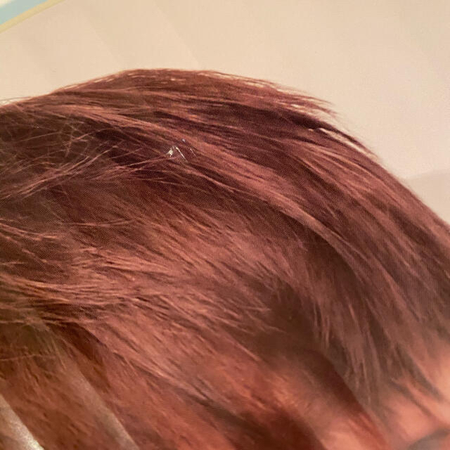 SEVENTEEN - ディノ うちわ まとめ売り 透明うちわ ミニフラッグの通販