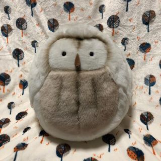 1479561659.jpg?1644648516