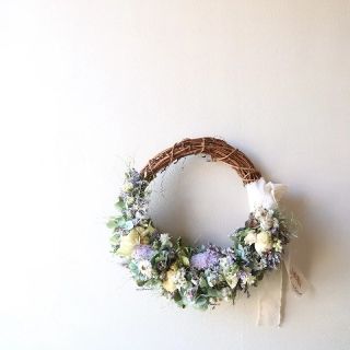 1511176221.jpg?1647574469