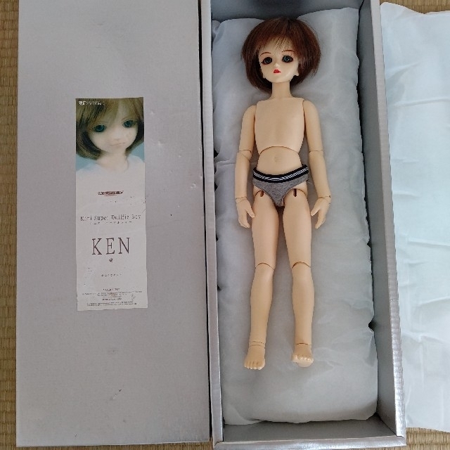 VOLKS - ミニスーパードルフィー 男の子 MSD健 組み立てキットの通販