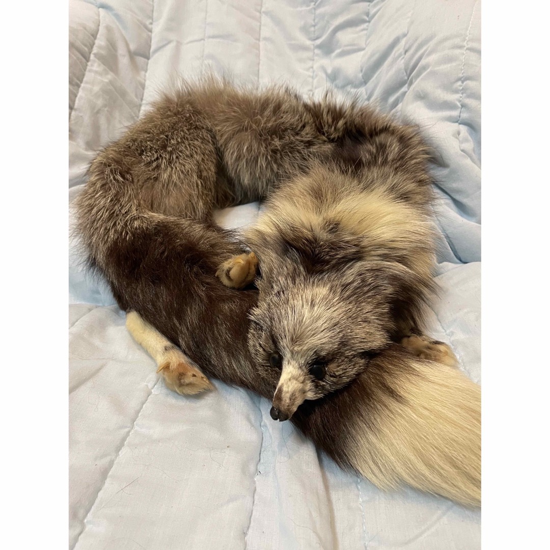 値下げ シルバーフォックス ファーマフラー キツネ 襟巻き