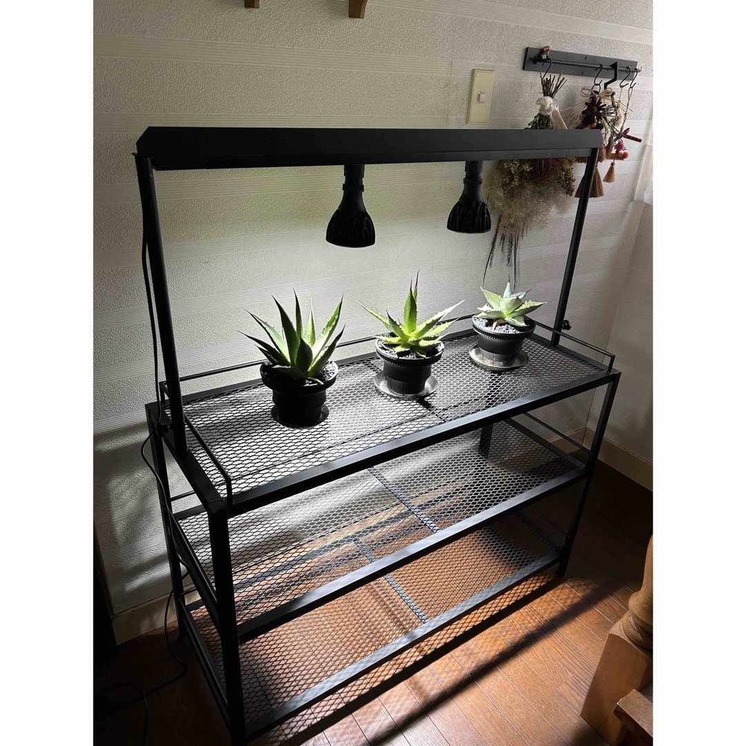 ☆送料込み☆アイアンシェルフ ライトレール付 植物棚 ボタニカル