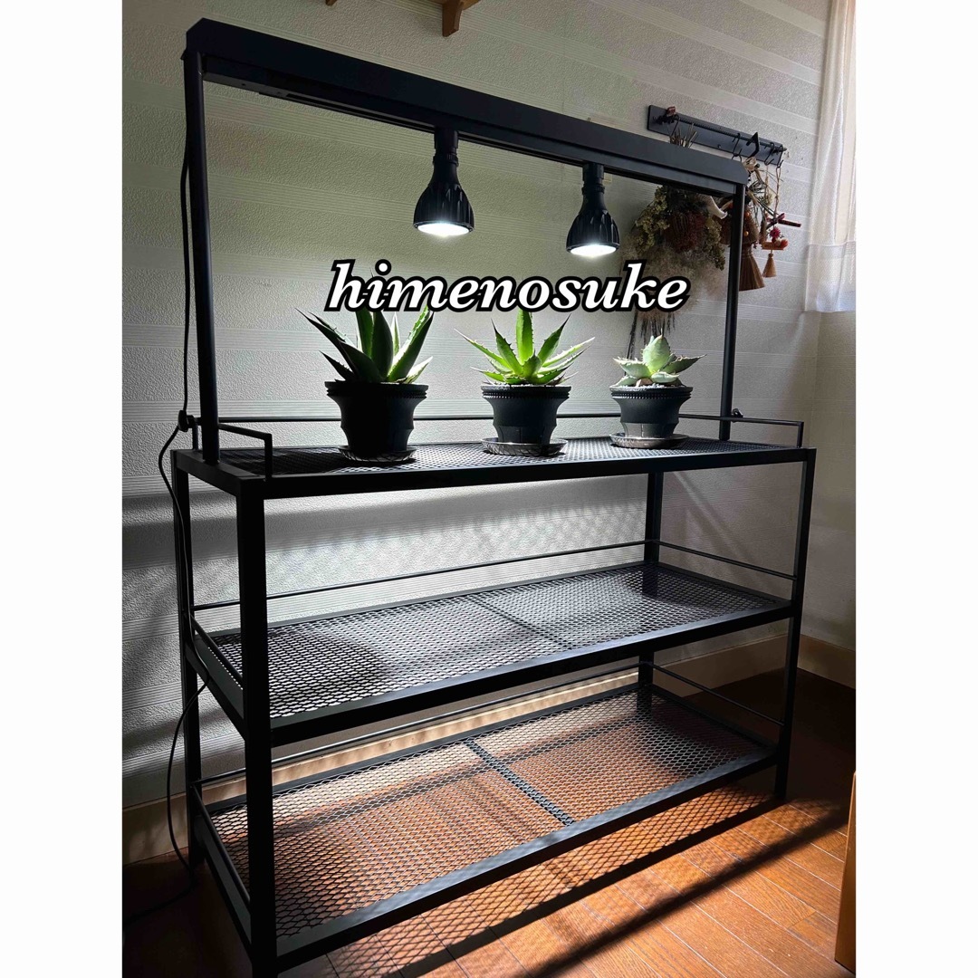 ☆送料込み☆アイアンシェルフ ライトレール付 植物棚 ボタニカル