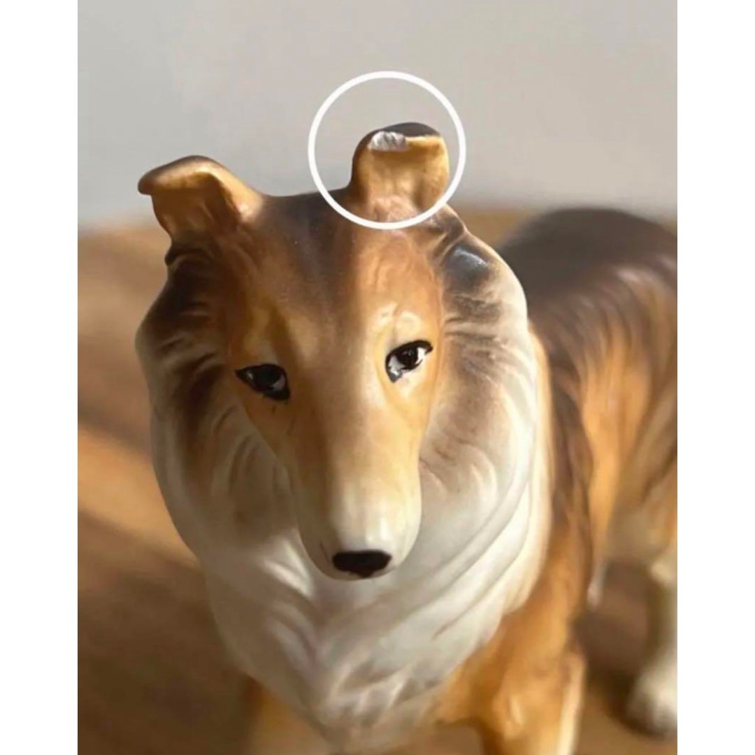 コリー シェルティ の置物の通販 by hinano's shop｜ラクマ