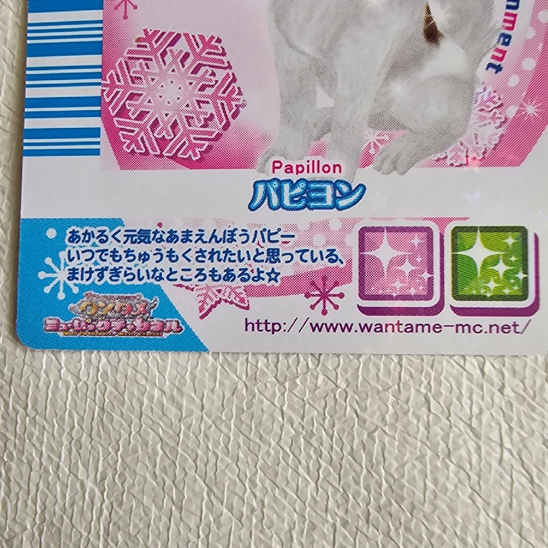 ワンタメ パピーカード パピヨンの通販 by 桜姫's shop｜ラクマ