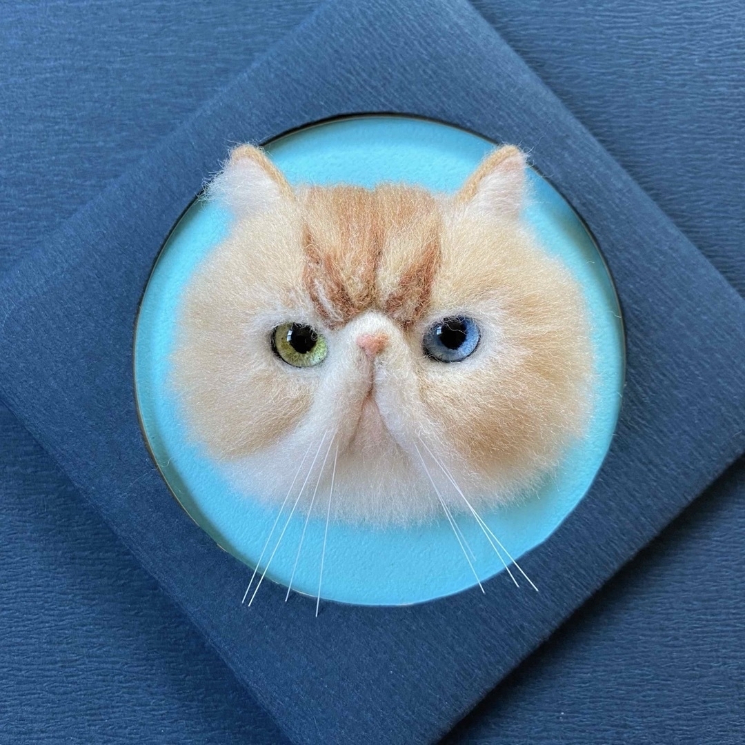 見本】羊毛フェルト リアル可愛いエキゾチックショートヘア オッドアイ