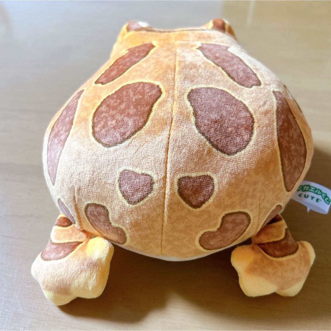 非売品 くじ景品 ツノガエル ぬいぐるみ ツノガエルくじ カエル CUTEの