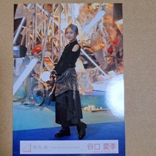 2502129309.jpg?1739027136