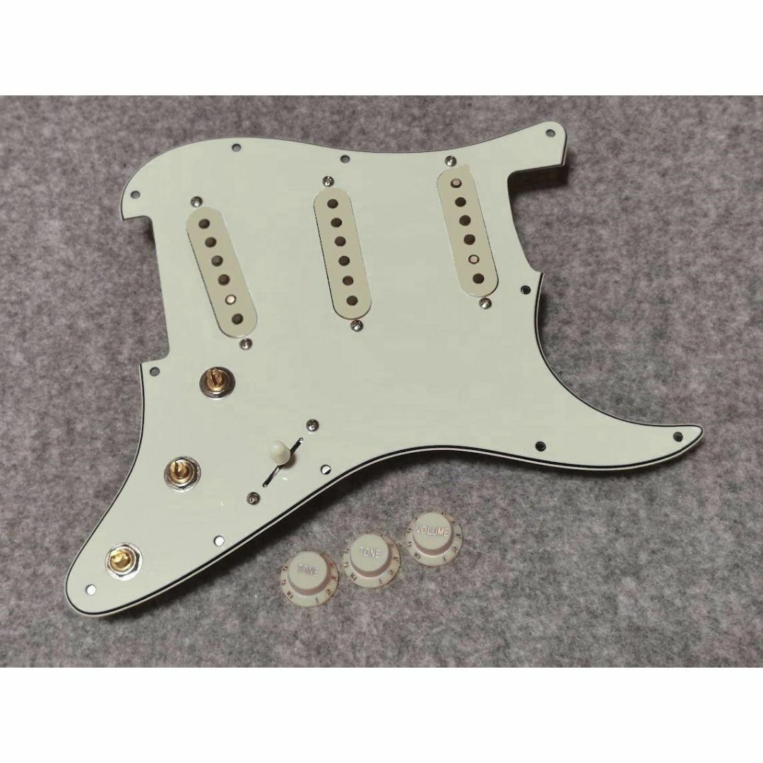 VoodooリバーススラッシュAlnico2＆5混成AS-9音色切替サーキット