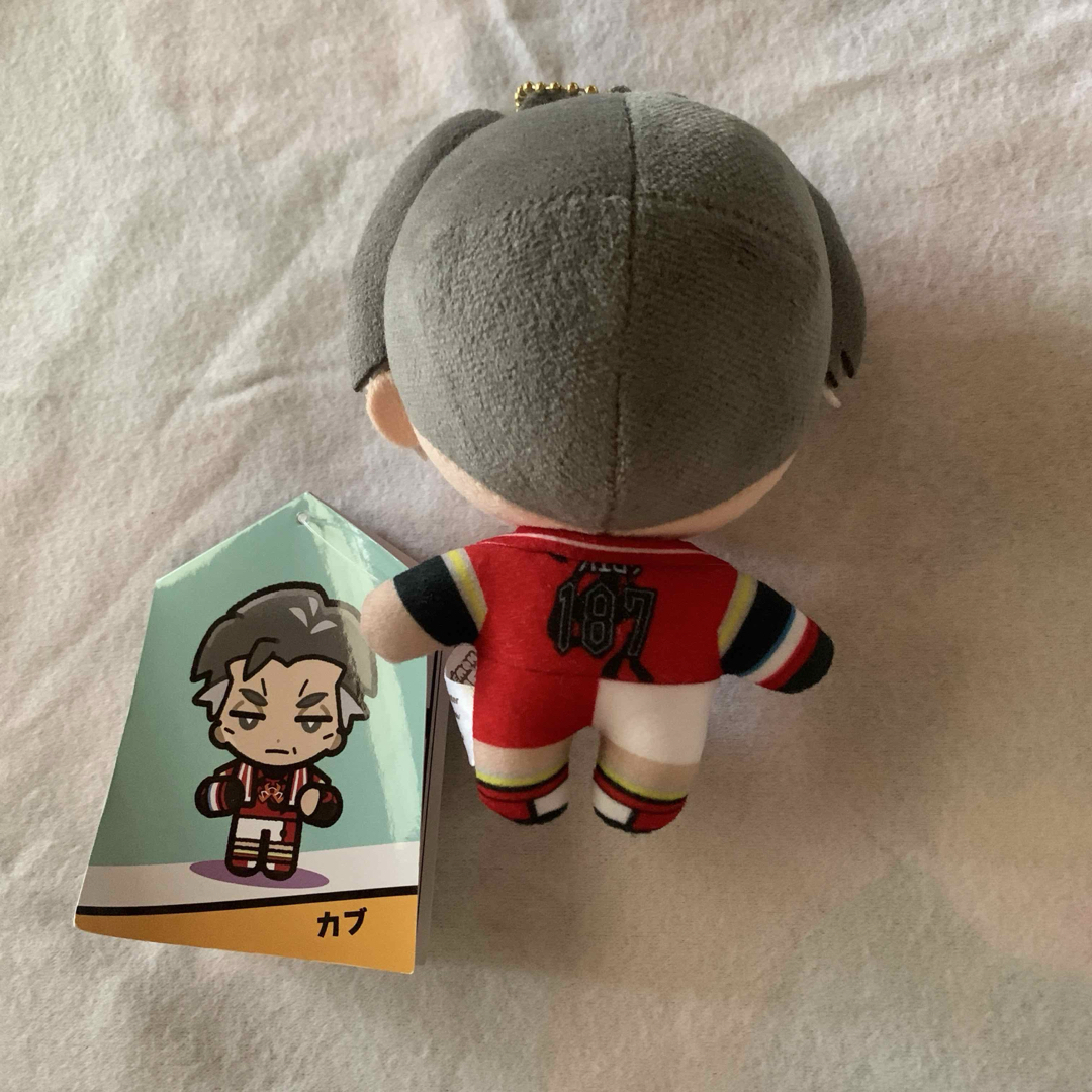 ポケモンセンター限定 マスコット トレーナー カブ ぬいぐるみ