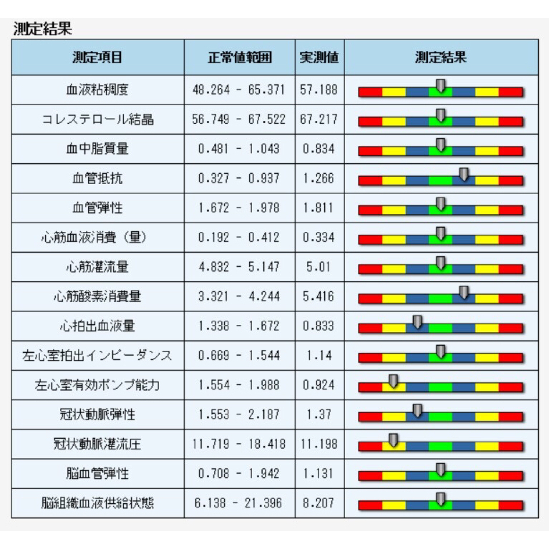 量子アナライザー 波動測定器 波動 量子共鳴 磁気共鳴 健康管理 サプリ参考