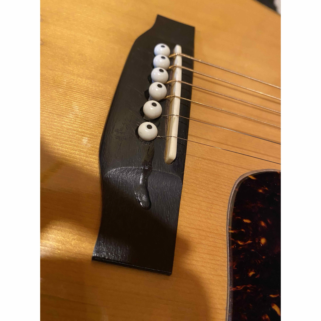 Blue Bell W400 (エレアコ仕様) 訳あり Blue Bell W400 (エレアコ仕様