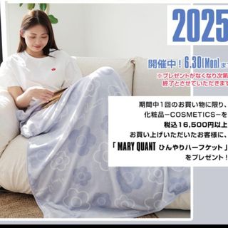 CELINE - CELINE セリーヌ タオルケット ニューサルキー 西川産業