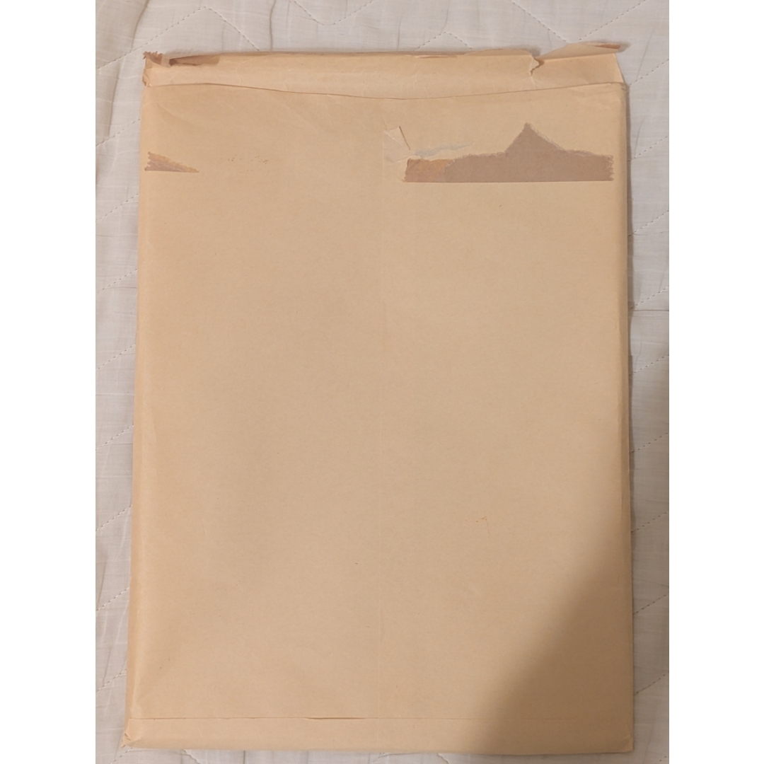 集英社 - 鬼滅の刃 複製色紙 ジャンプGIGA 2020 SUMMER おまけ4点付き