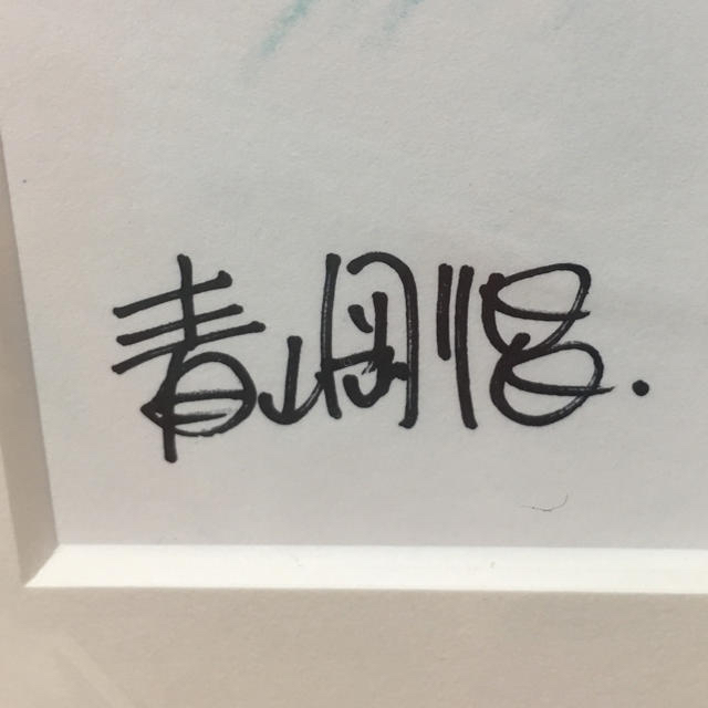 小学館 - 限定20枚✨名探偵コナン プリマグラフィー 天空の難破船 青山