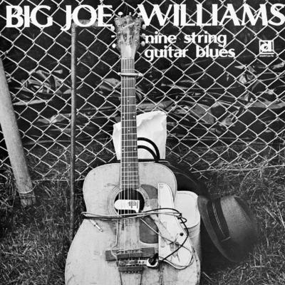 9 String Guitar Blues : Big Joe Williams | HMV&BOOKS online - PCD