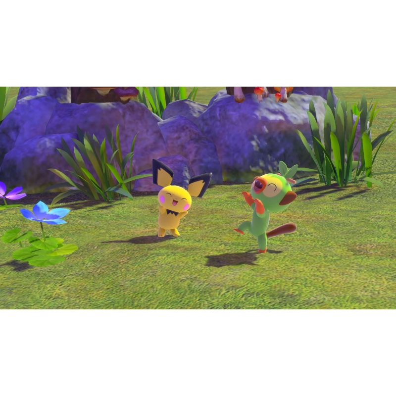 New ポケモンスナップ≪Loppi・HMV限定特典 ミニクリアファイル付き