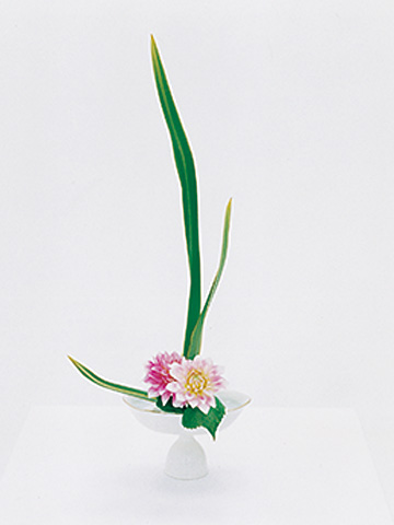 FEATURE 小原流家元に学びました！ 真実の、花のある生活 | Feature